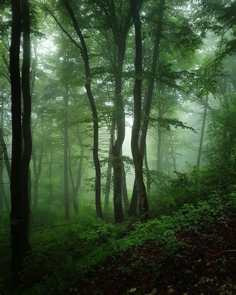 Выживание | Beautiful nature, Beautiful landscapes, Beautiful ...
