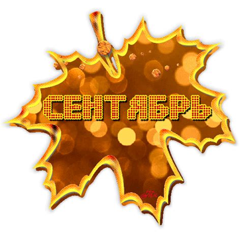 Сентябрь картинки гифки скачать бесплатно