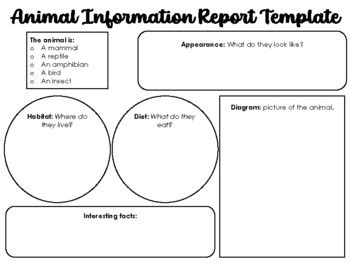 Animal Information Report Template by Teaching with Miss Moldz | TpT