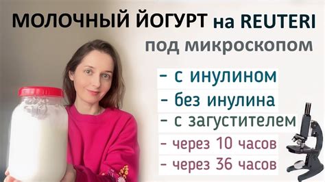 Много ли лактобактерий реутери в молочном йогурте ? Или лучше ...