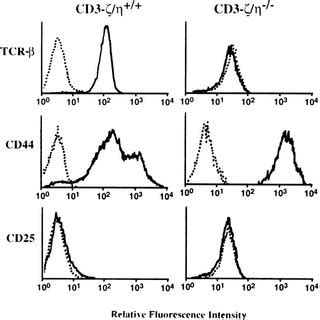 Specificity Of Hybridomas Generated From Single Positive Peripheral T