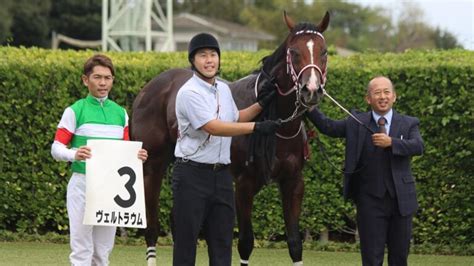 2023年 一口馬主の振り返りなど Pog一口馬主情報局