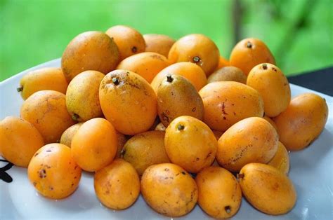 Beneficios Del Jobo Propiedades Medicinales Recetas Mango Fruit