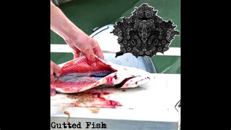 Rotten Redolence Gutted Fish Youtube