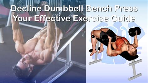 Decline Dumbbell Bench Press Your Effective Exercise Guide