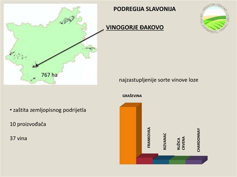 PPT 3 DANI VINA I TURIZMA OSJEČKO BARANJSKE ŽUPANIJE PowerPoint