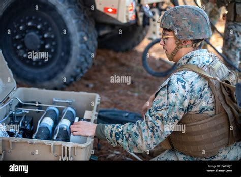 Un Marine des États Unis avec le bataillon de logistique de combat 24