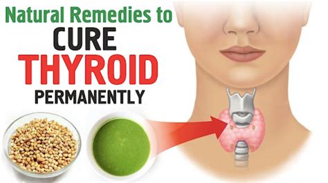 Thyroid Natural Treatment Philadelphia Holistic Clinic