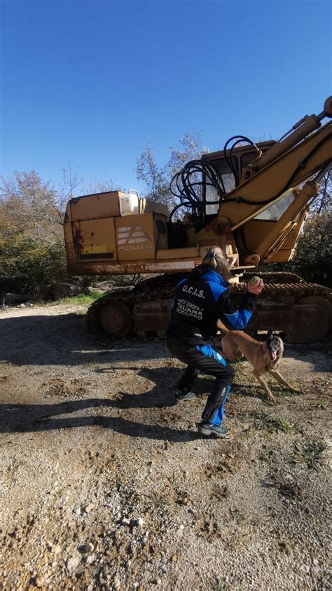 Le unità cinofile della Protezione Civile di Cerveteri rinnovano i brevetti