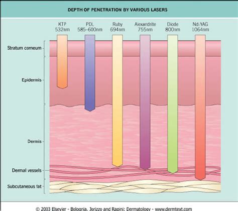 Depth Of Penetration By Various Lasers This Figure Was Published In