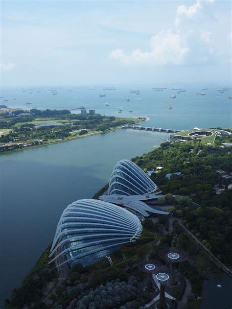 Gardens By The Bay · Free Stock Photo