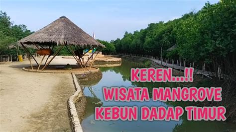 Keren Wisata Mangrove Kebun Dadap Saronggi Sumenep Youtube