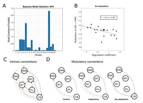 Dcm Results A Bayesian Model Selection Results Model 18 Which Allowed