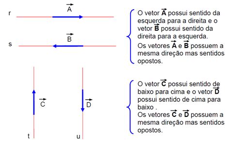 MINHAS AULAS DE FÍSICA Vetor definição