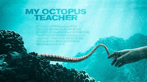 My Octopus Teacher
