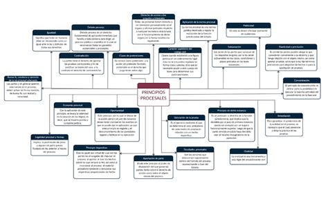 Los Principios Procesales Mapa Conceptual Los Principios Procesales