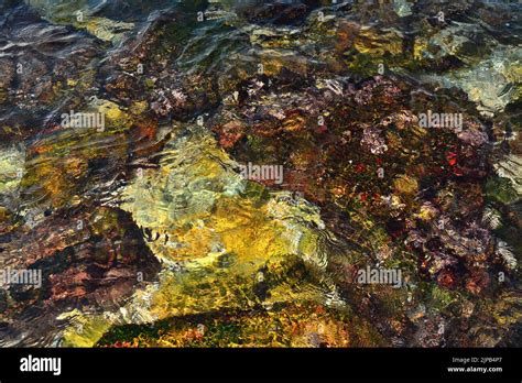 Light Refraction Diffraction And Reflection On Water Stock Photo Alamy