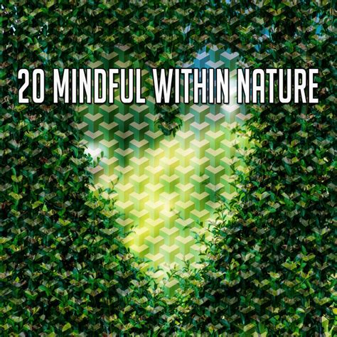 20 Mindful Within Nature Album By Mother Nature Sound FX Spotify