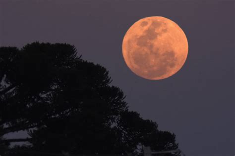 Superlua azul pode ser vista nesta quarta feira 30 08 2023 Ciência