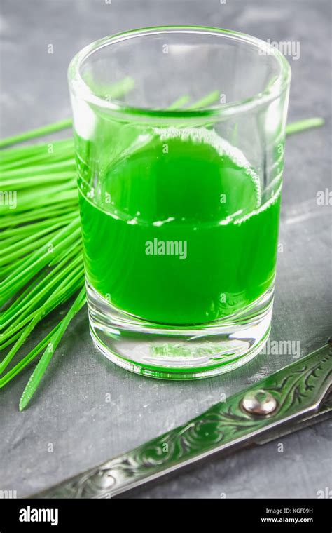 Wheatgrass Shot Juice From Wheat Grass Trend Of Health Stock Photo