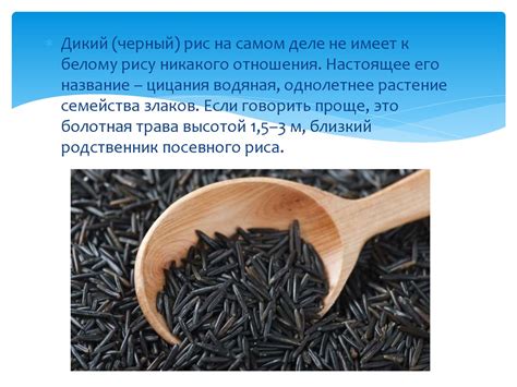 Бурый и дикий рис - презентация онлайн