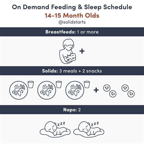 Baby feeding schedules by month from 6 to 24 months – Artofit