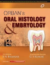 Orban S Oral Histology Embryology Th Edition