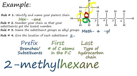 Organic Chemistry How To Name Branched Alkanes Youtube