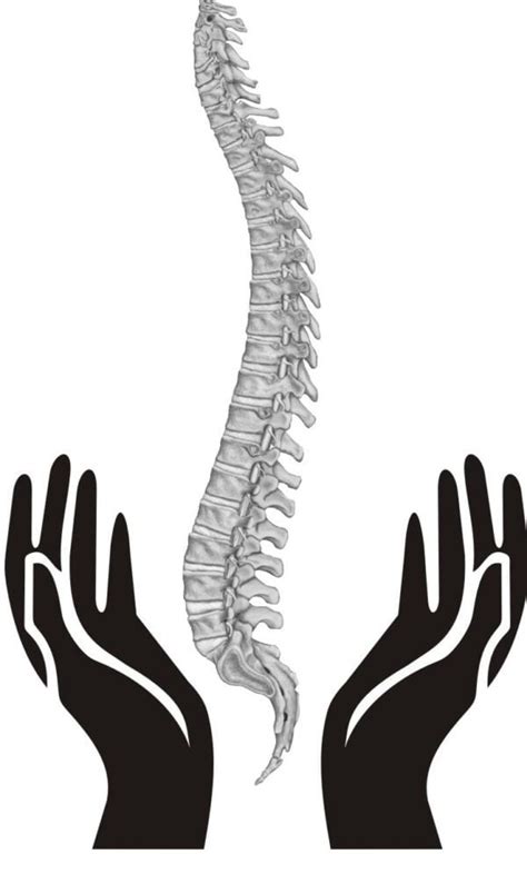 Mastering Spinal Health Tips And Techniques For A Better Back