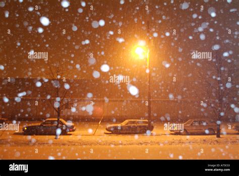 Snow Covered Street And Cars During A Winter Storm Stock Photo Alamy