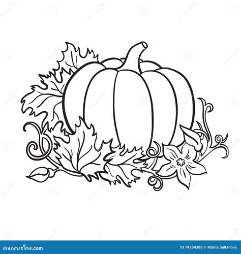 Pumpkin stock vector. Illustration of october, cartoon - 74284388