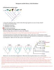 Phylogenies And The History Of Life Worksheet Pdf Phylogenies And The