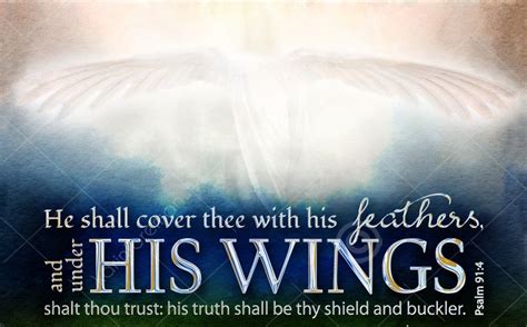 Psalms 91 4 He Shall Cover Thee With His Feathers And Under His