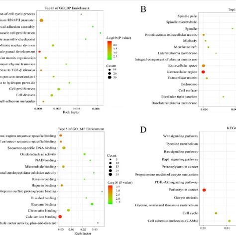 Go And Kegg Analysis Of The Overlapping Degs In Oc A Biological