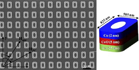 Scanning Electron Micrograph SEM And A Schematic Of Co 25 Nm CoO 5