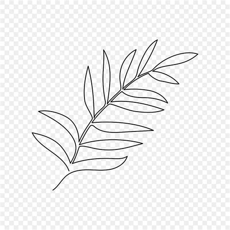 Minimalistic Line Vector Design Images Abstract Minimalist Line Leaves