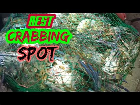 Best Crabbing Spot In Abu Dhabi Youtube