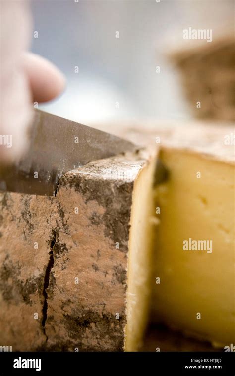 The Great British Cheese Festival Cardiff Castle Stock Photo Alamy