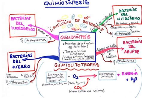 BiologÍa 2º Bachillerato