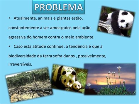 Importância Da Biodiversidade