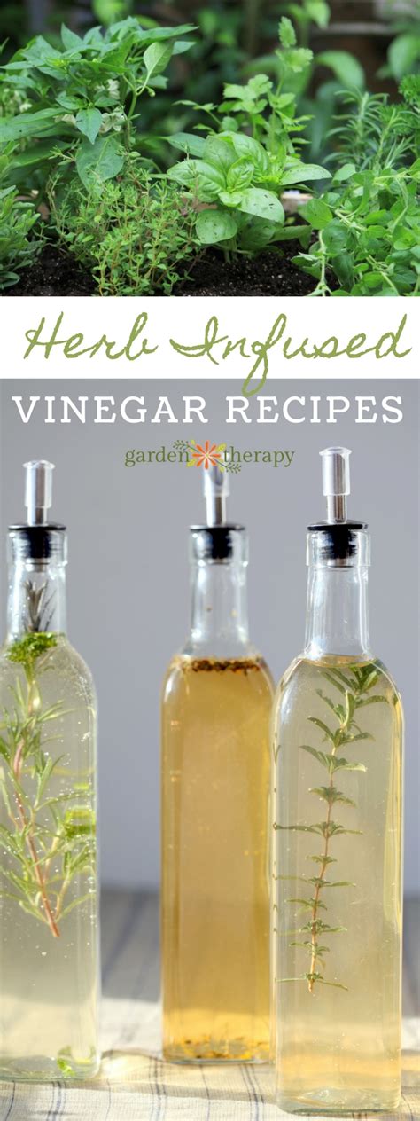 Herb Infused Vinegar