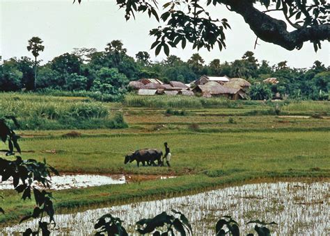 West Bengal History Culture Map Capital And Population Britannica