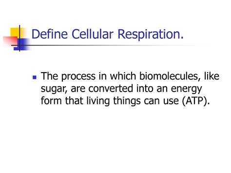 Cellular Respiration Equation Definition