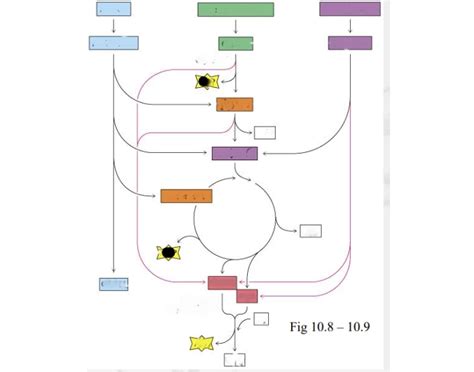 elements of glycolysis and products of process — Printable Worksheet