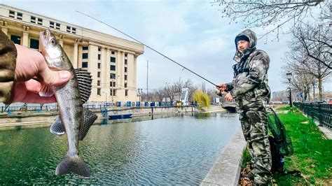 Pescuit Dupa Salau Si Biban Spinning Pe Dambovita Youtube