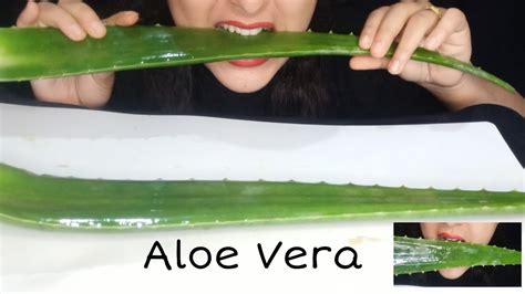 Asmr Aloe Vera Eating Challenge Soft Sticky Eating Should No