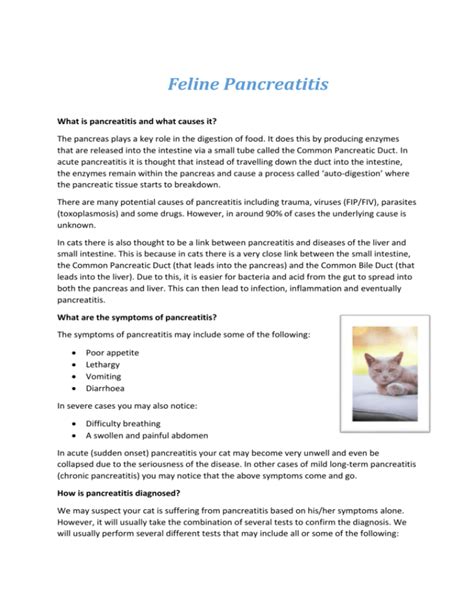 Feline Pancreatitis