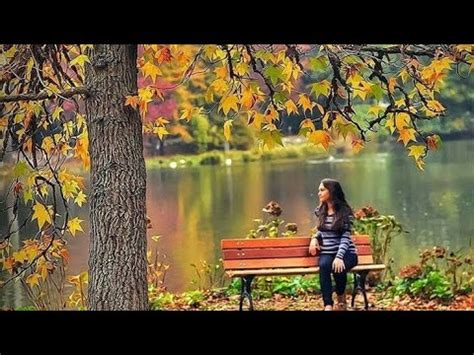 Музыка для души. Там где клен шумит. Федор Добронравов.(Сваты5) - YouTube