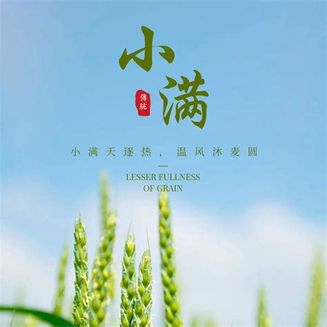 今年的小满时间小满小有小得