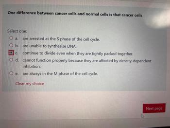 Answered: ted at the S phase of the cell cycl le… | bartleby